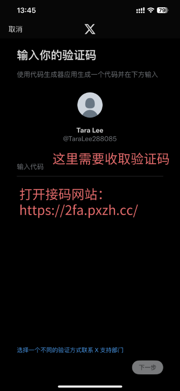 打开接码网站https://2fa.pxzh.cc/查看验证码