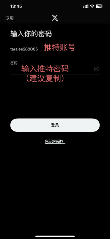 输入推特密码，点击登录按钮