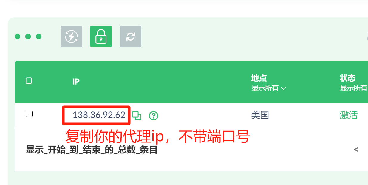 拿到【代理ip】