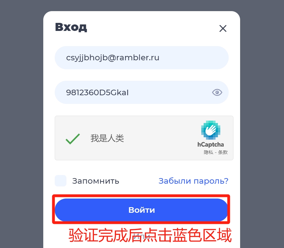 验证完成后点击蓝色按钮