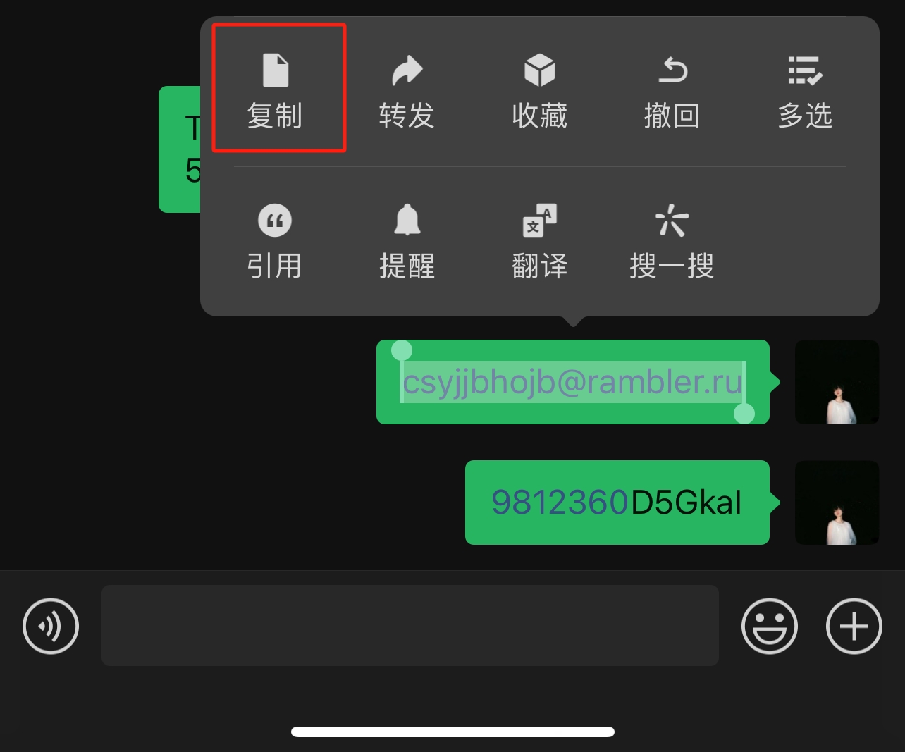复制粘贴进行登录