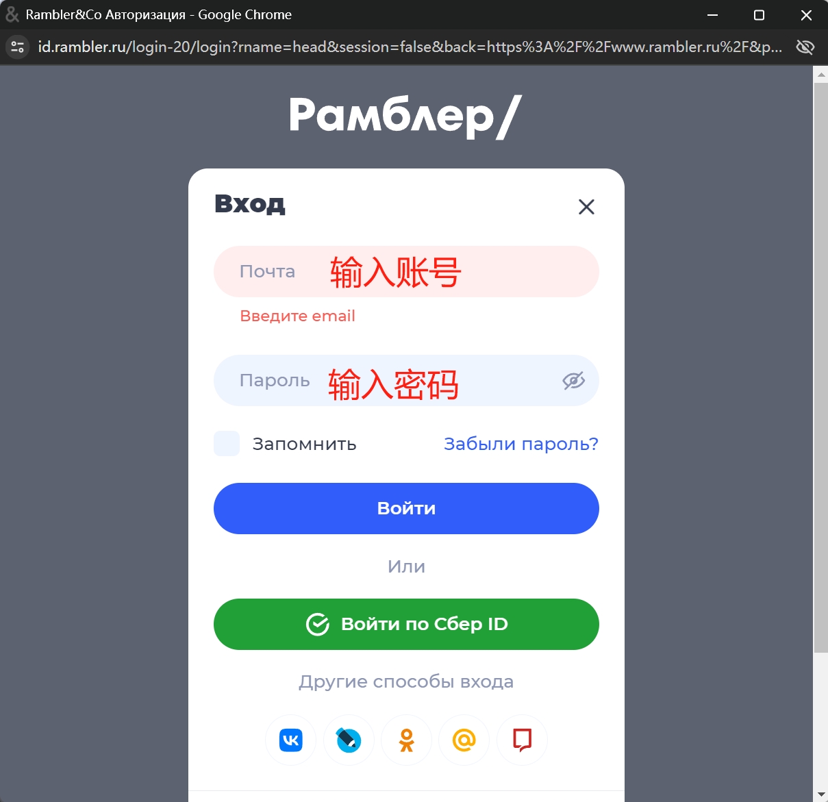 输入账号密码信息