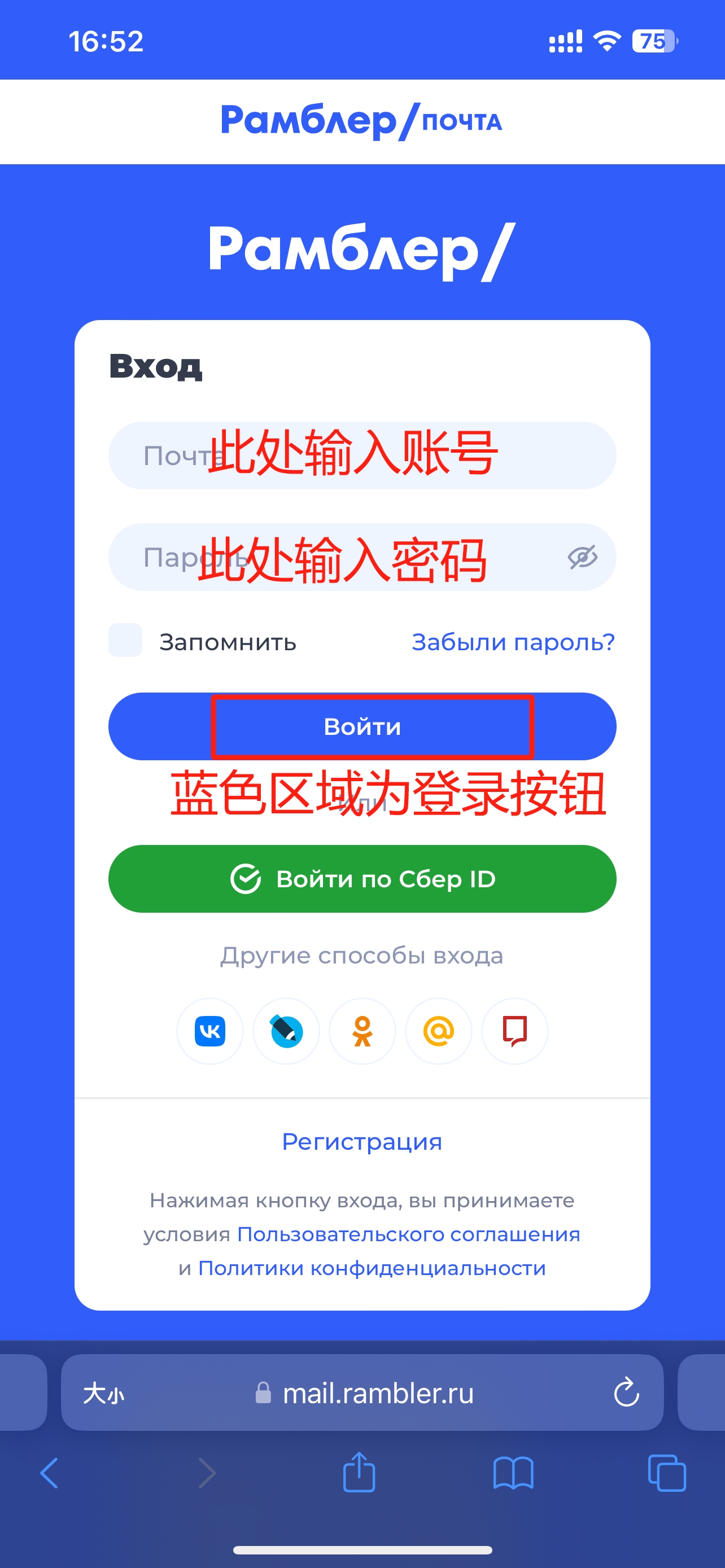 输入账号信息