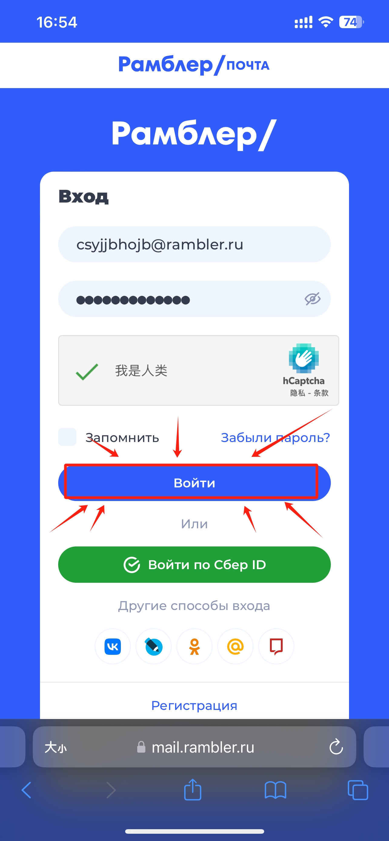 点击蓝色按钮登录
